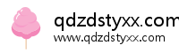 qdzdstyxx.com